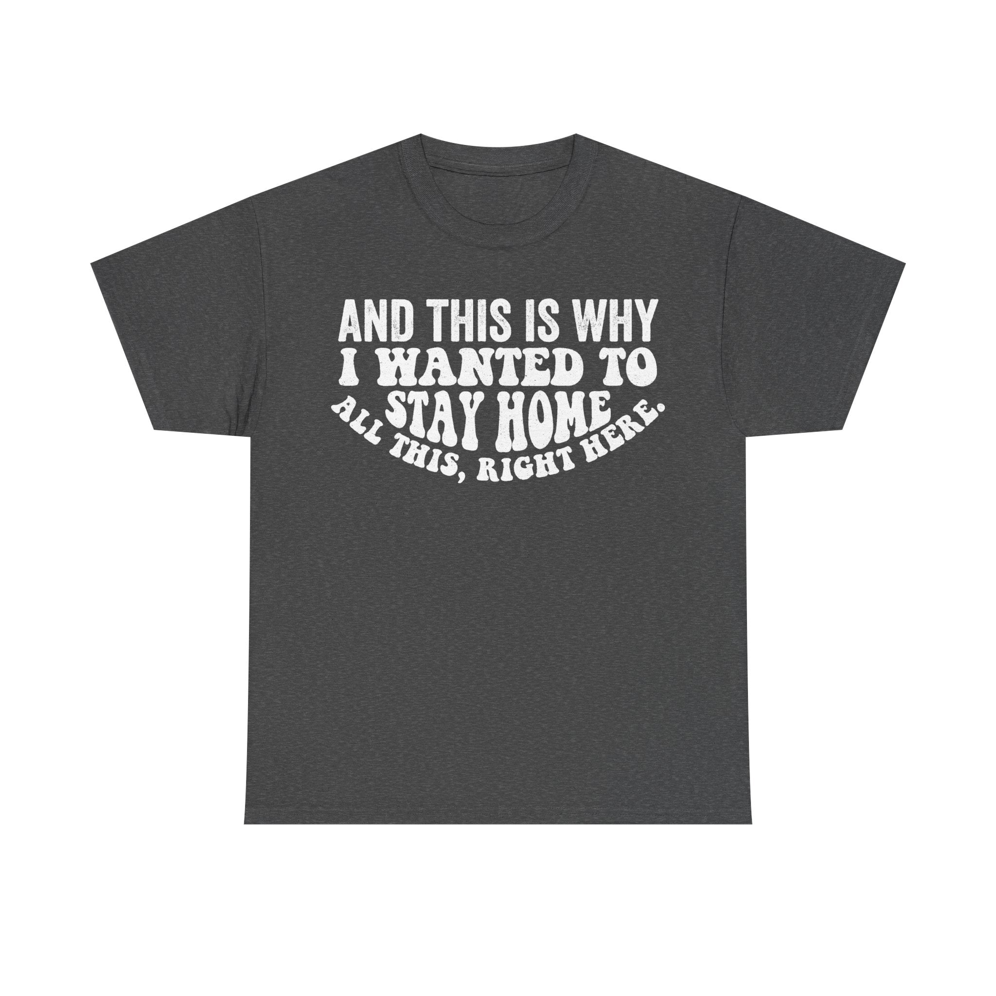 Stay Home Quote Tee And This Is Why I Wanted To Stay Home Introvert Humor Unisex Shirt