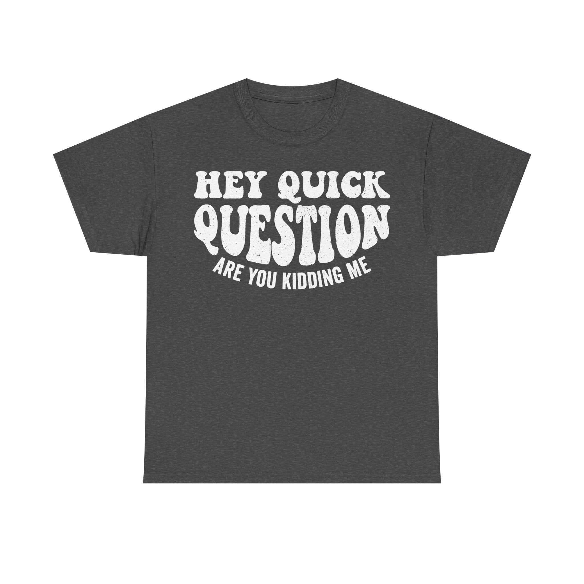 Charcoal T-shirt with bold white retro font reading HEY QUICK QUESTION ARE YOU KIDDING ME