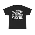 Graphic Tee — "Am I Perfect? No. But Am I Trying To Do Better? Also No." Funny Sarcastic T‑Shirt