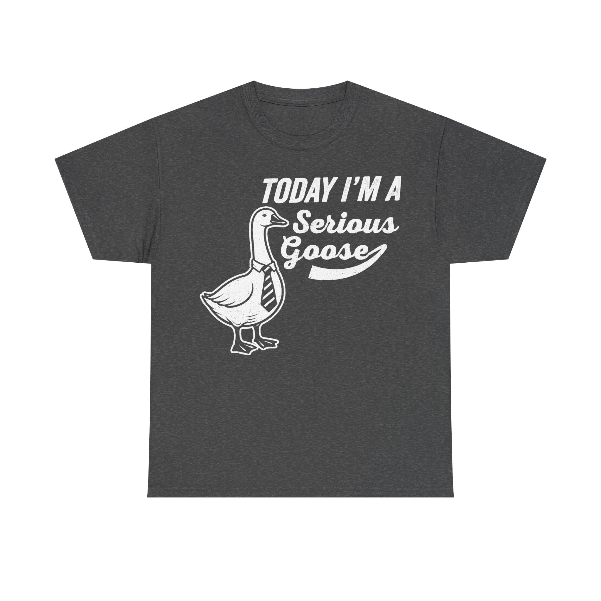 T-shirt, dark gray with white print of Today I'm a Serious Goose and a cartoon goose wearing a tie