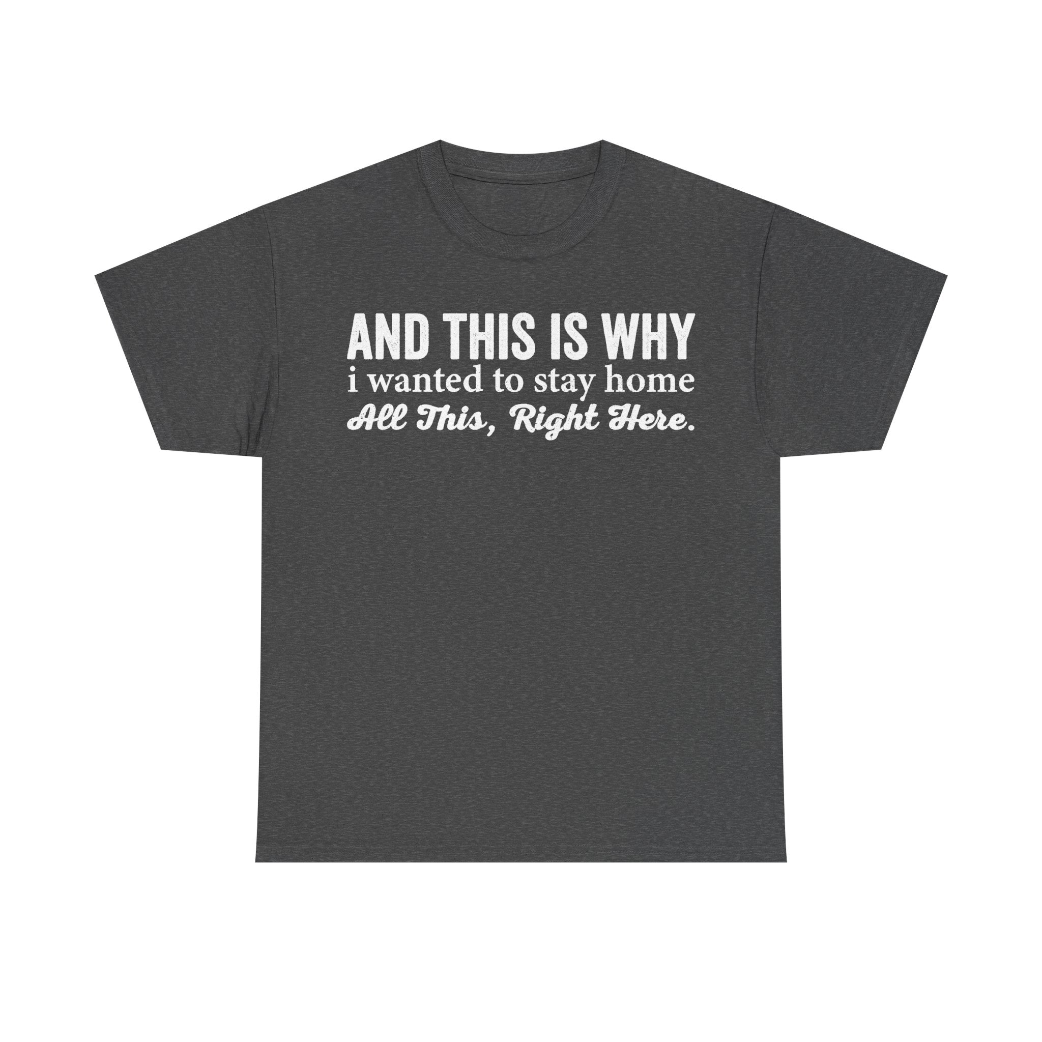 T-shirt with distressed white text on charcoal gray reads And This Is Why I Wanted To Stay Home.