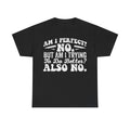 T-shirt, black with bold distressed white typography Am I Perfect? No. But Am I Trying To Do Better? Also No.
